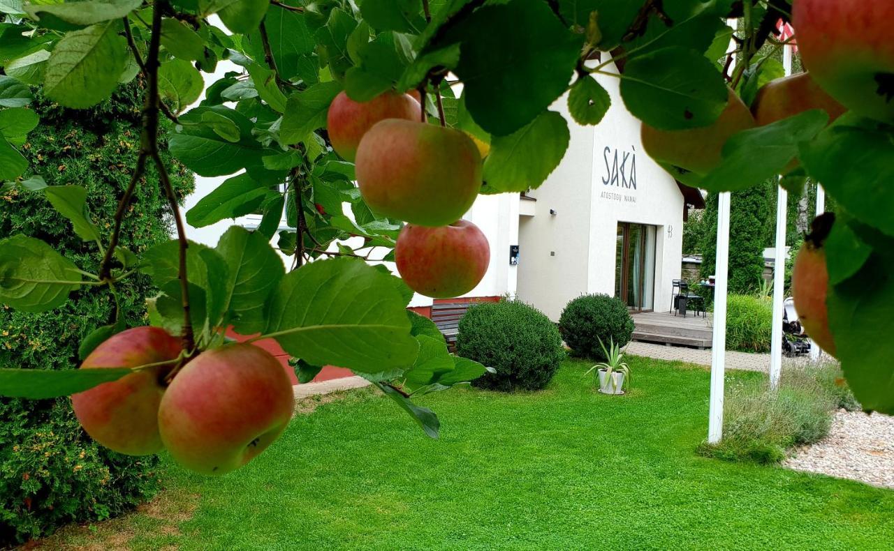 Saka Vacation House Ντρουσκινινκάι Εξωτερικό φωτογραφία